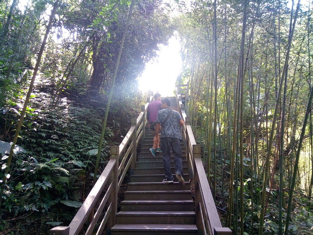 瑞龍竹林棧道