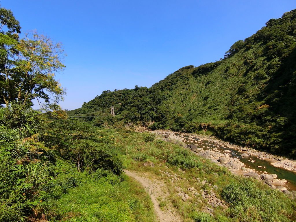 瑞龍吊橋（竹山）