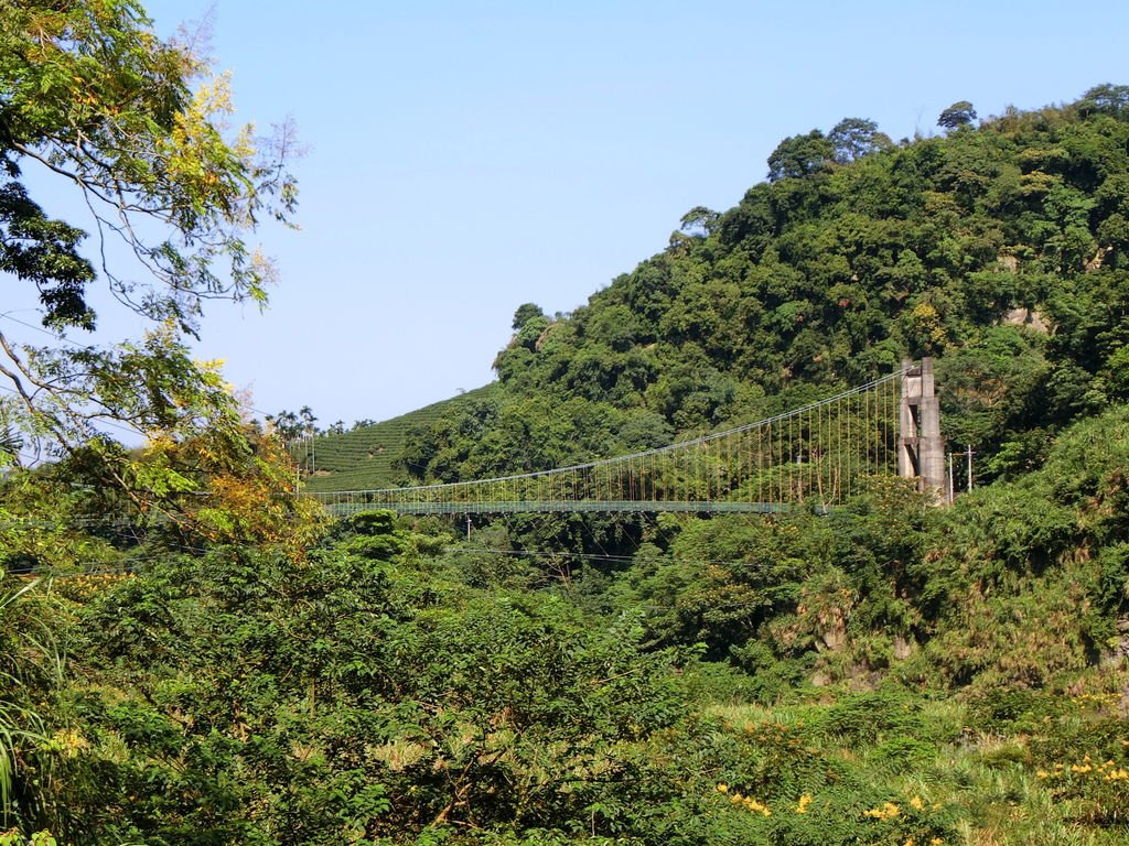 瑞龍吊橋（竹山）