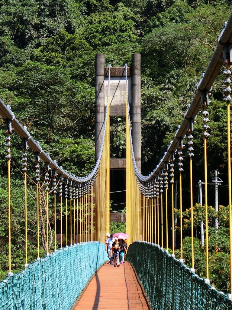 瑞龍吊橋（竹山）