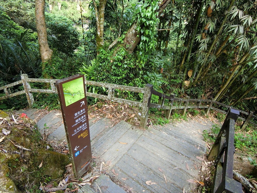 龍宮瀑布遠觀平台岔路