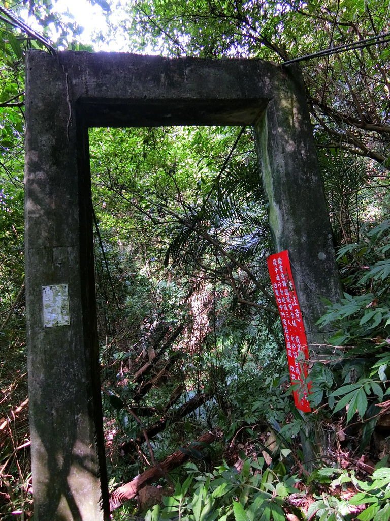 白毛山廢棄保線吊橋