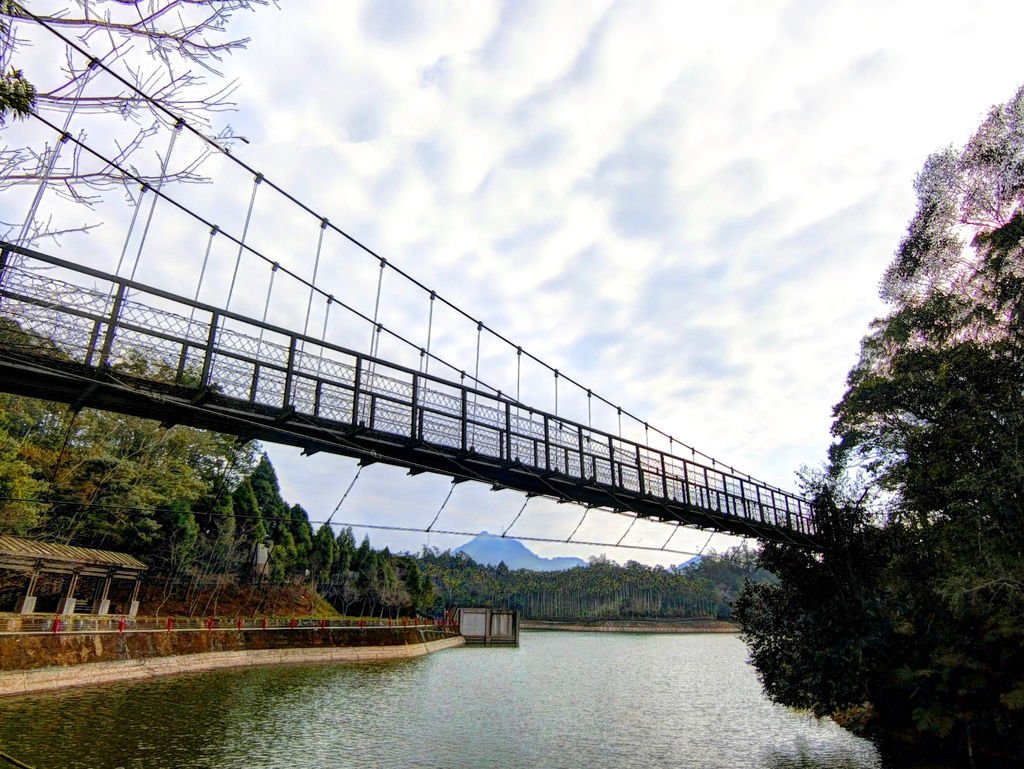 山龍坑吊橋（魚池）