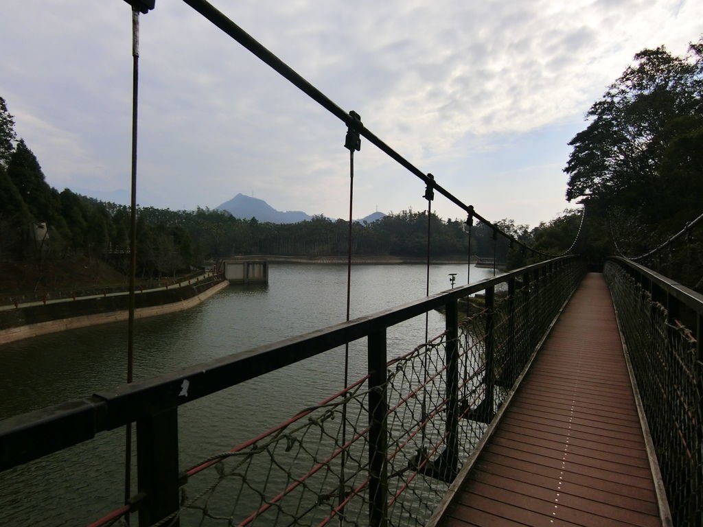 山龍坑吊橋（魚池）