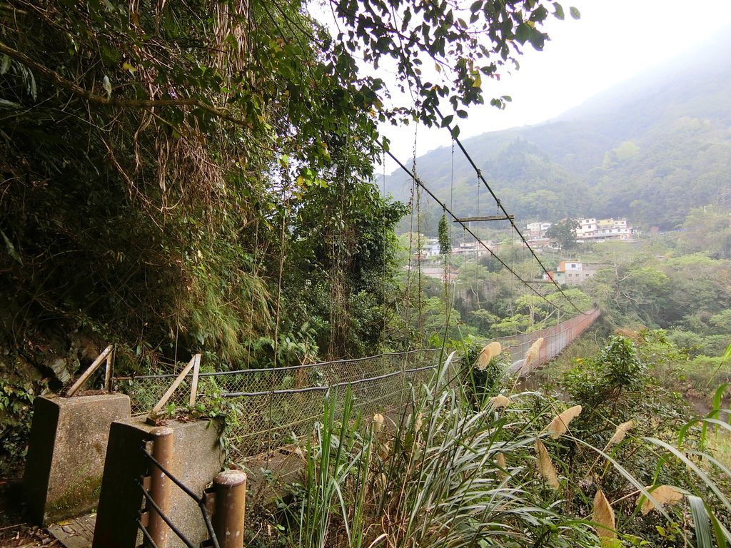 清泉三號吊橋（五峰）