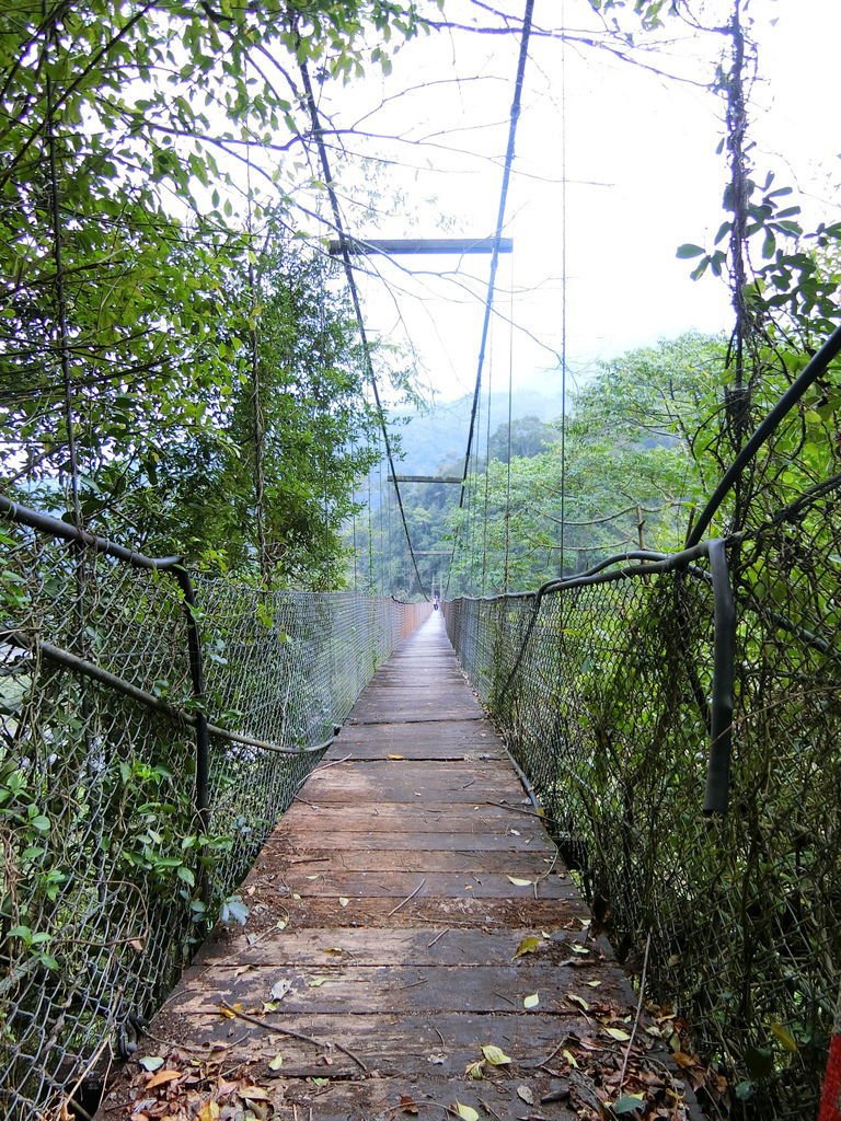 清泉三號吊橋（五峰）