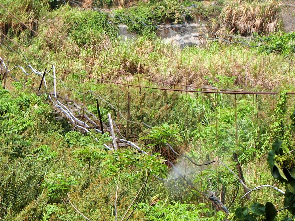 羅羅谷吊橋（人和村）