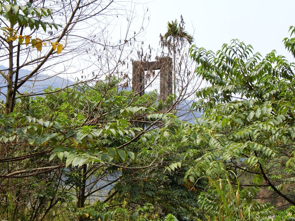 人和波石吊橋（人和村）