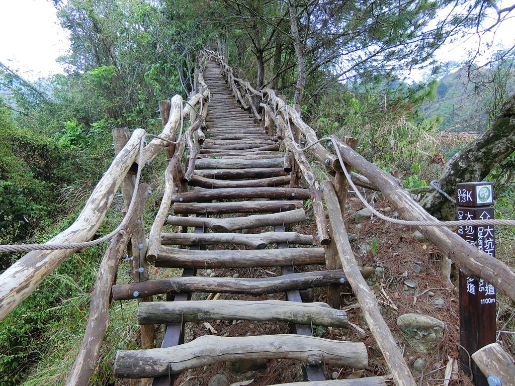 大坑3號登山步道 0.2K（北屯）