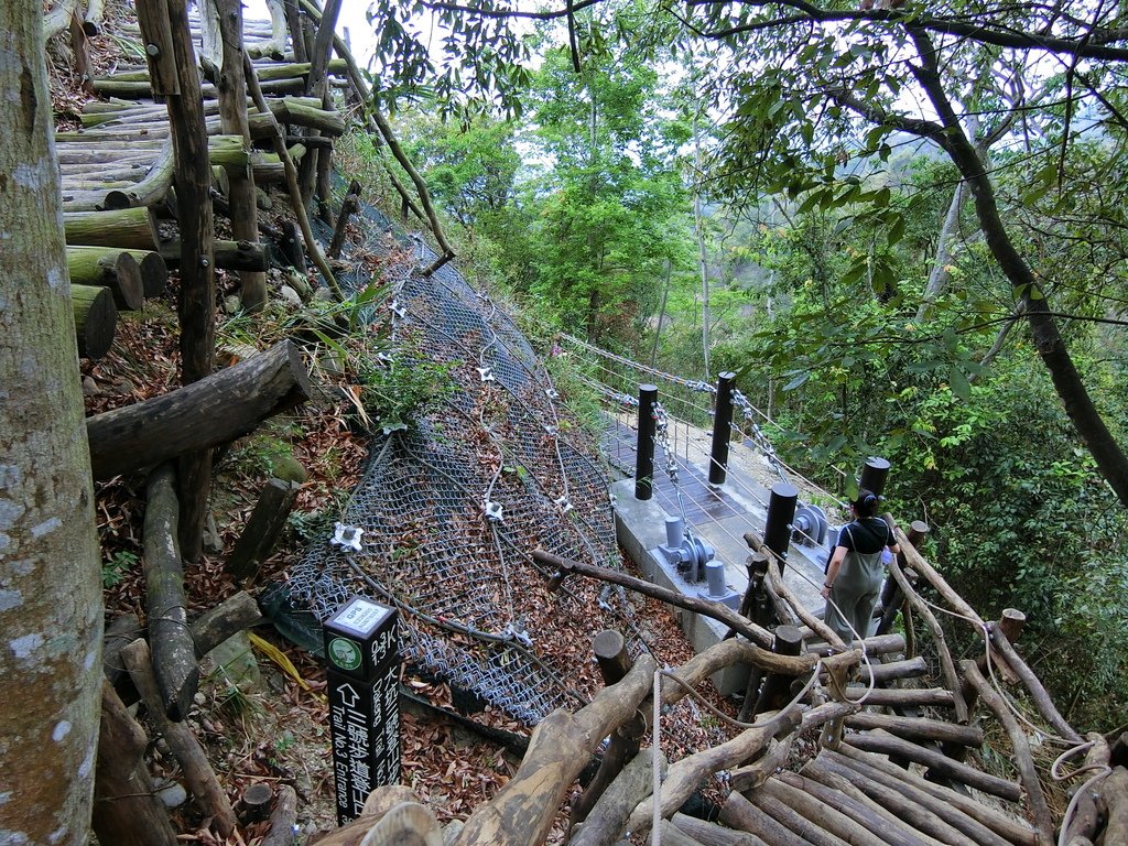 大坑3號登山步道 0.3K（北屯）