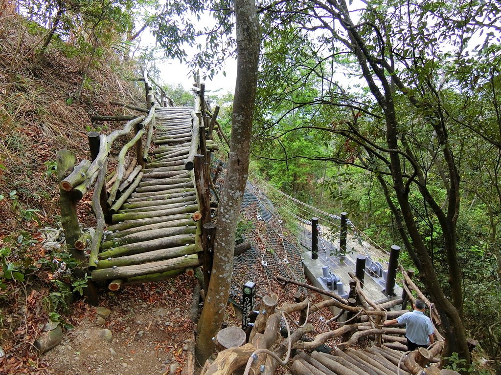 大坑3號登山步道 0.3K（北屯）