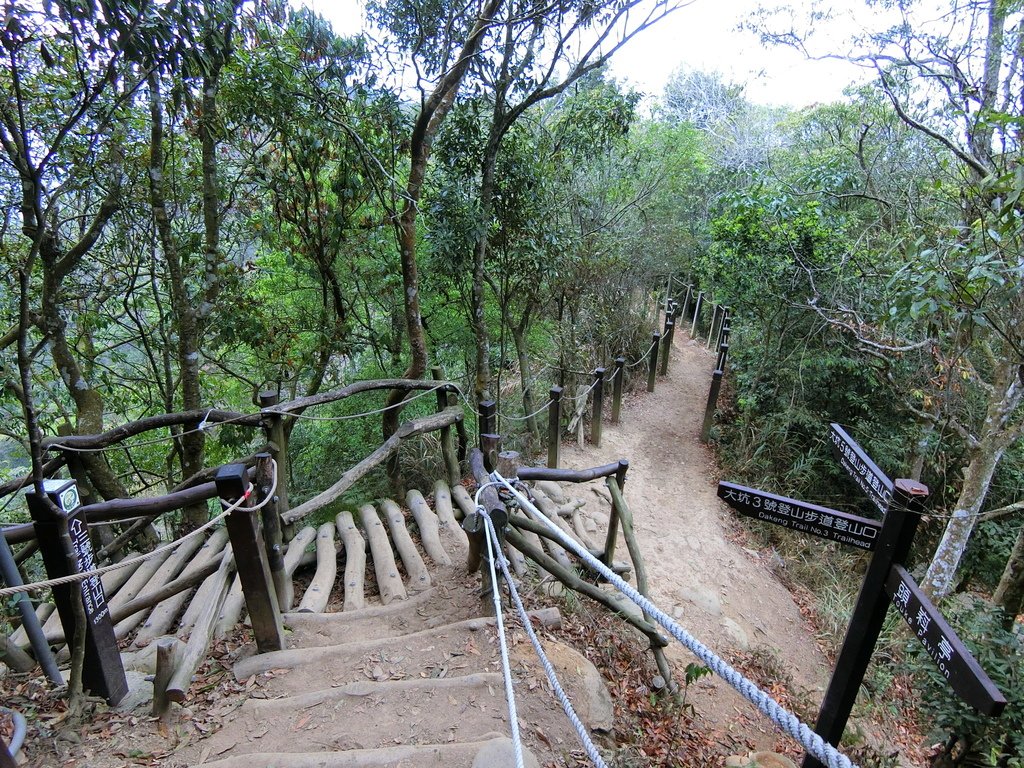 大坑登山步道 3號5號交叉口（北屯）