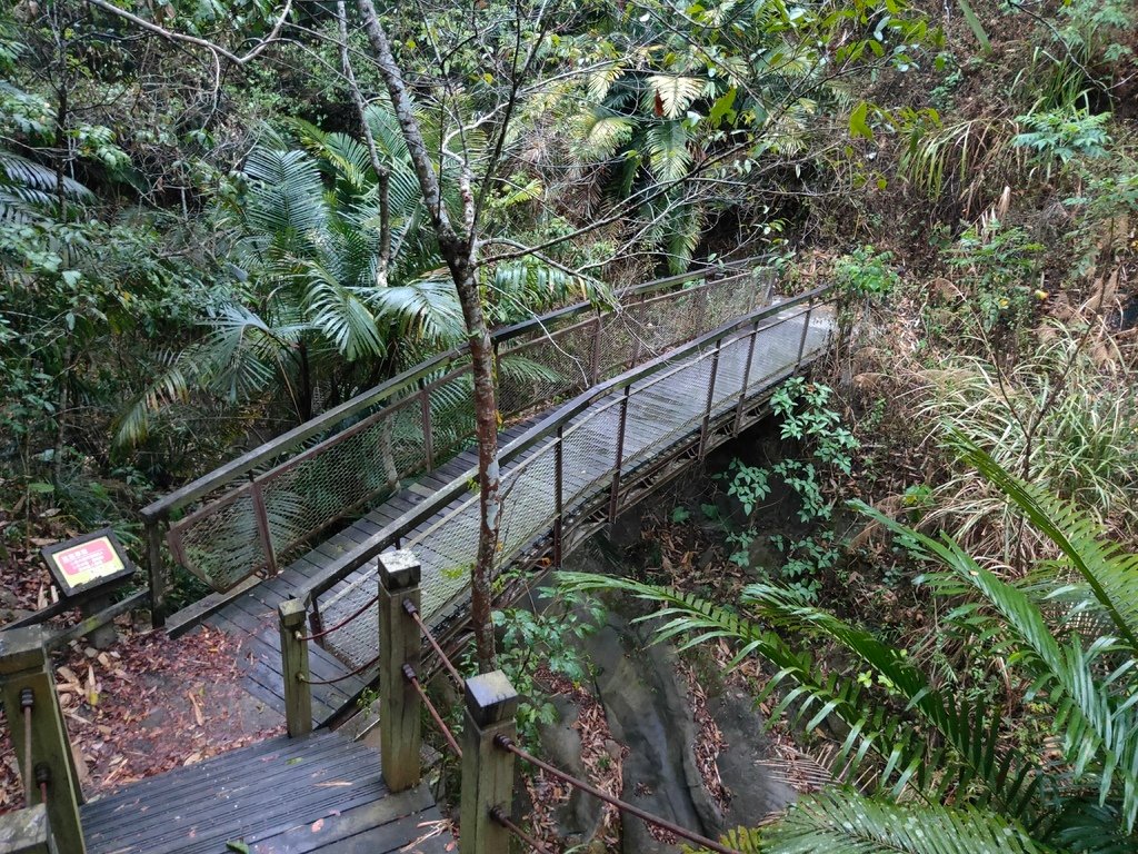 蝙蝠洞延伸步道 木橋