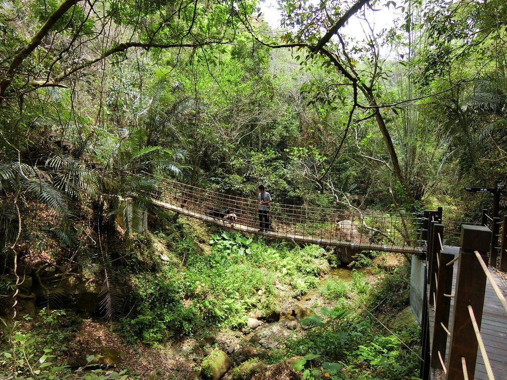 蝙蝠洞延伸步道 第2吊橋