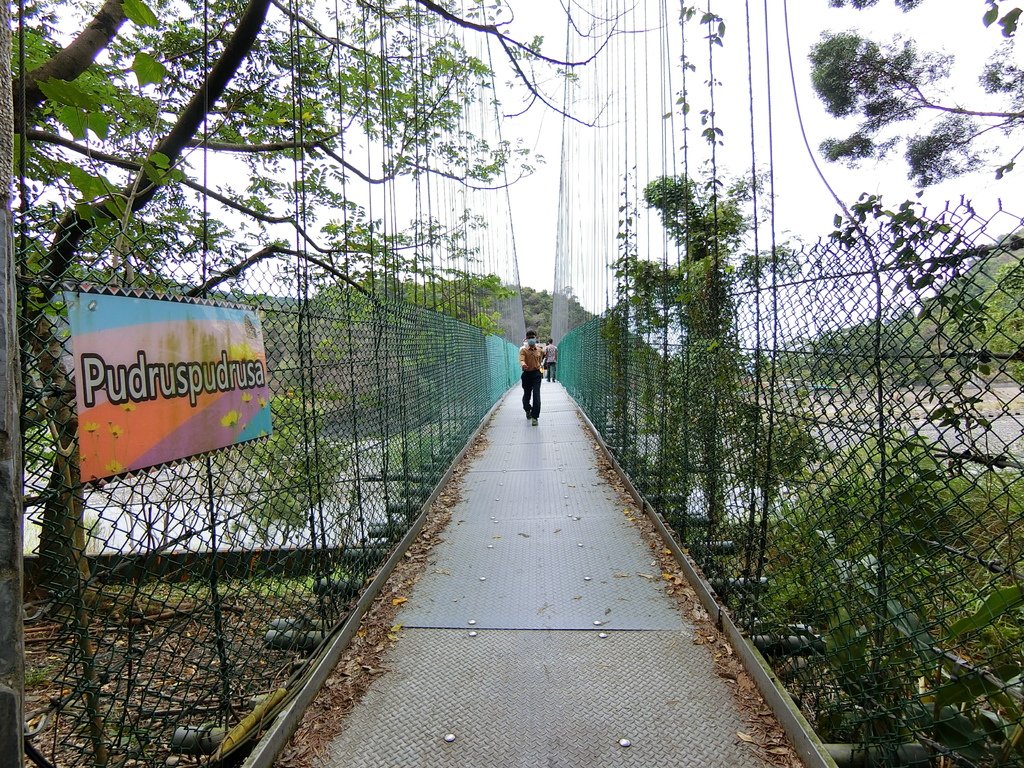 布魯布沙吊橋（茂林里）