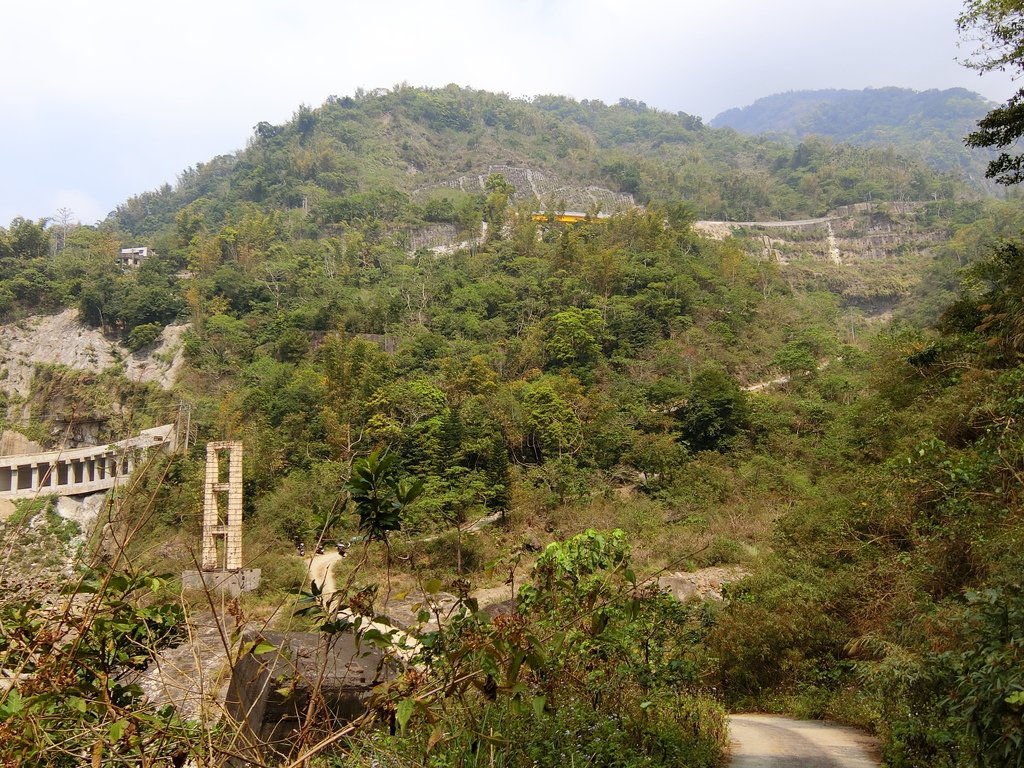 樟湖吊橋（古坑）