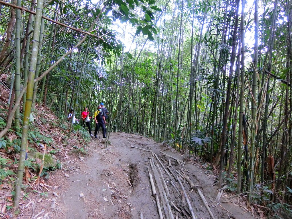 馬胎古道