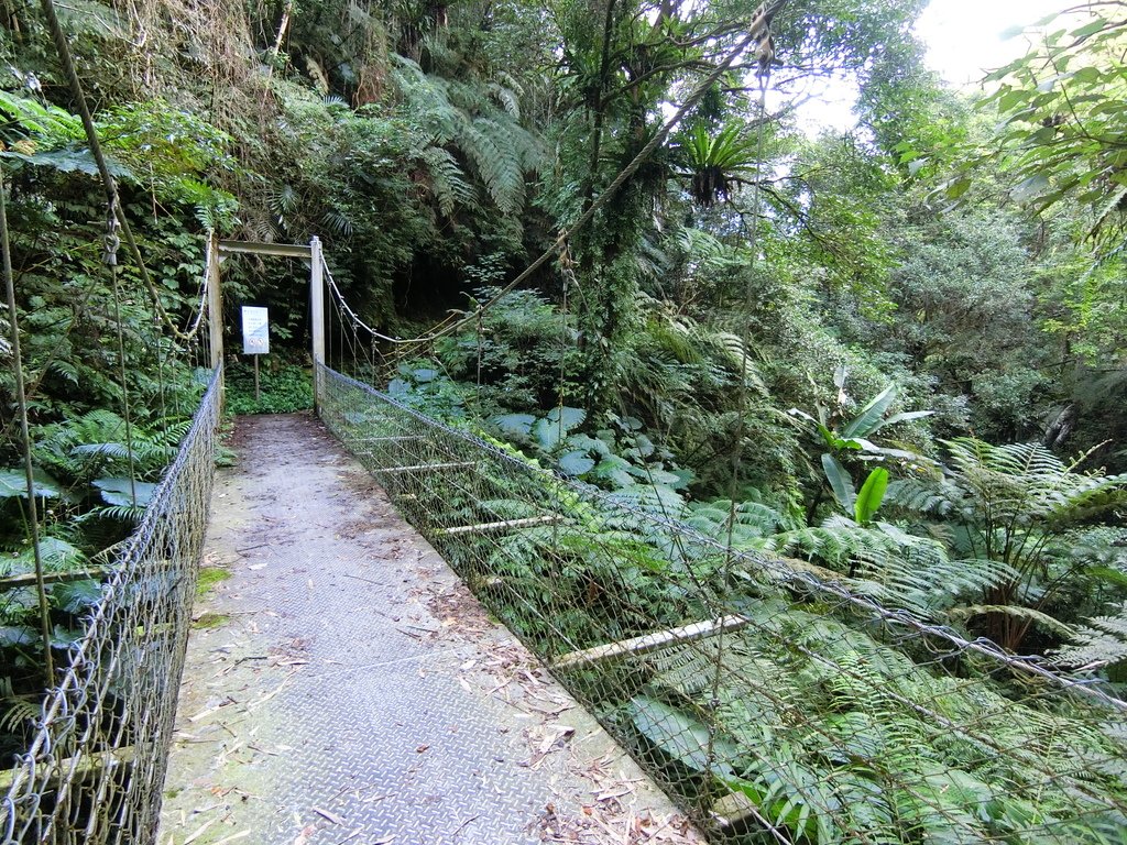 觀音洞步道吊橋（復興）