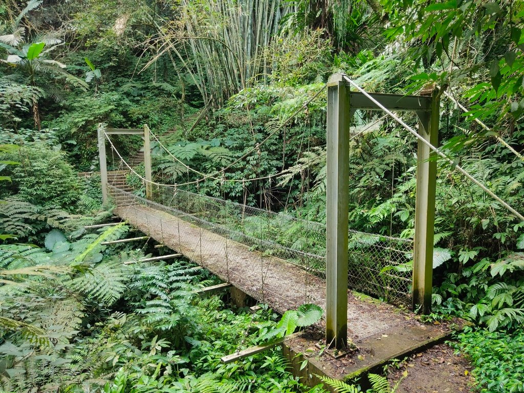 觀音洞步道吊橋（復興）