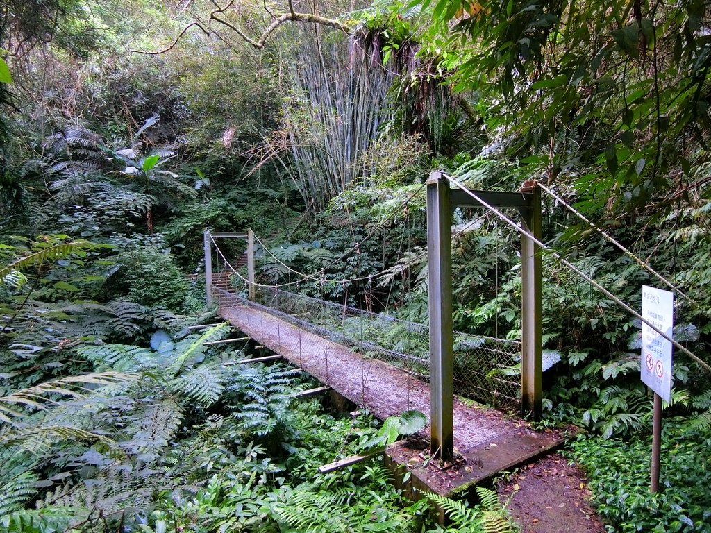 觀音洞步道吊橋（復興）