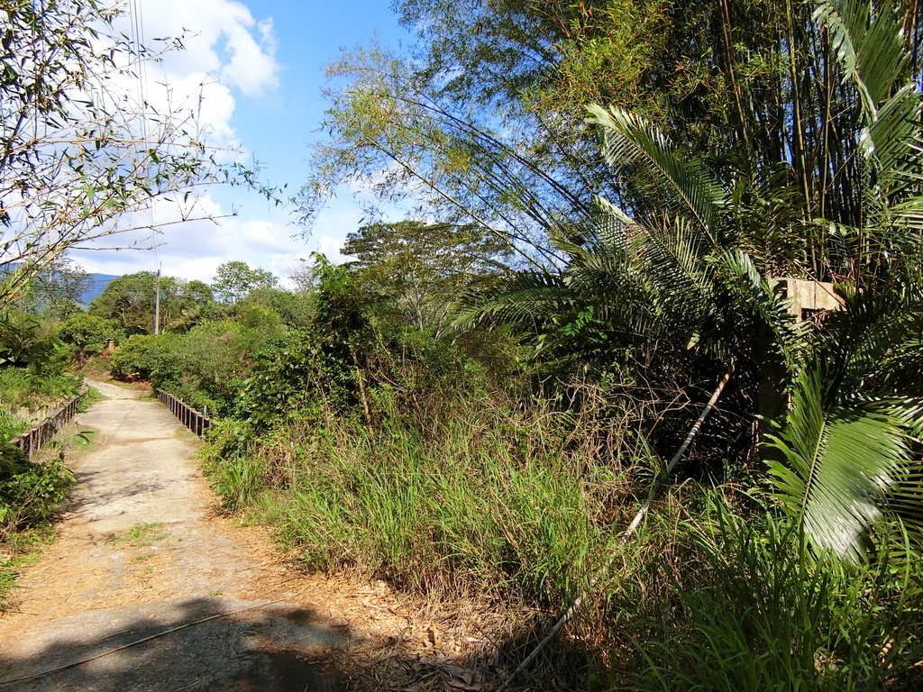 三重溪保線吊橋 西側遺跡（白河）