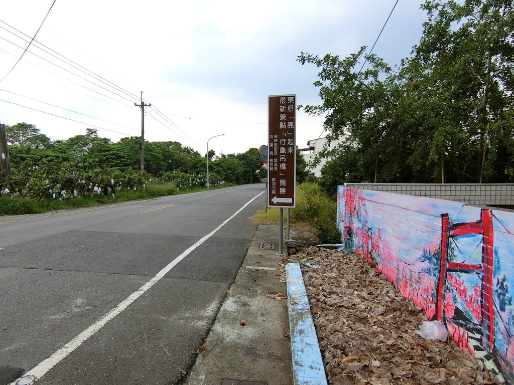 東原國中 行龜吊橋