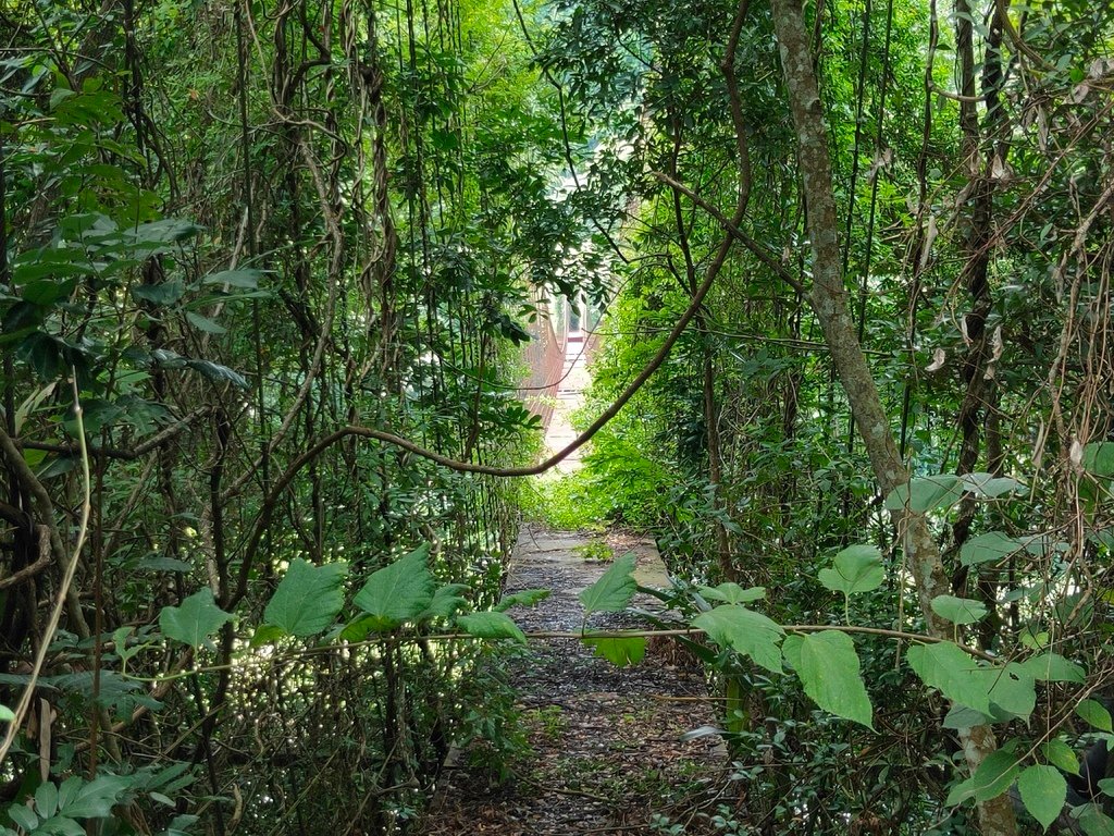 錦卦吊橋（泰安）