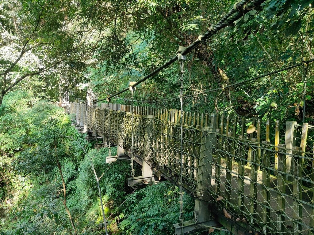 賞鳥步道吊橋１（鹿谷）