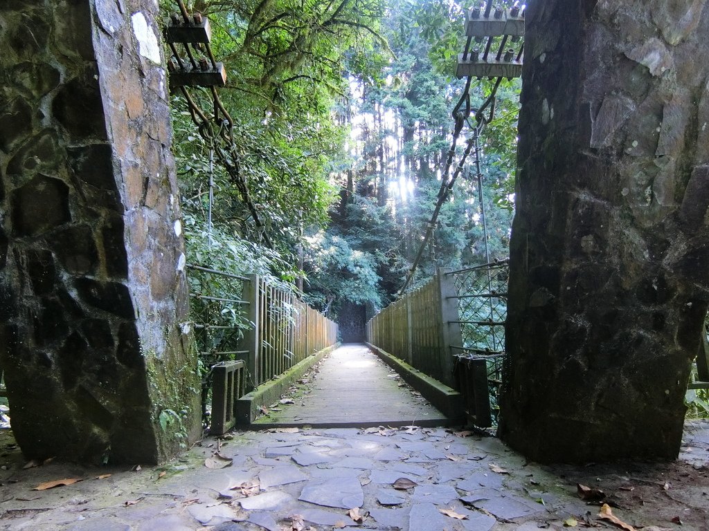 賞鳥步道吊橋２（鹿谷）