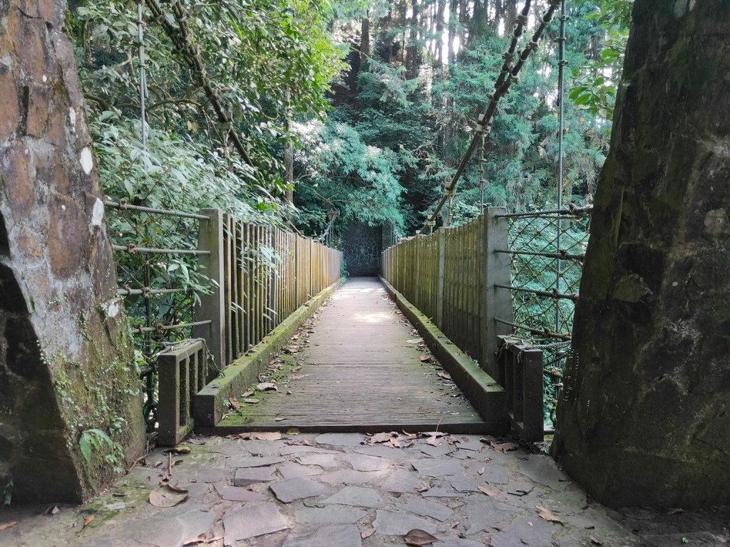 賞鳥步道吊橋２（鹿谷）