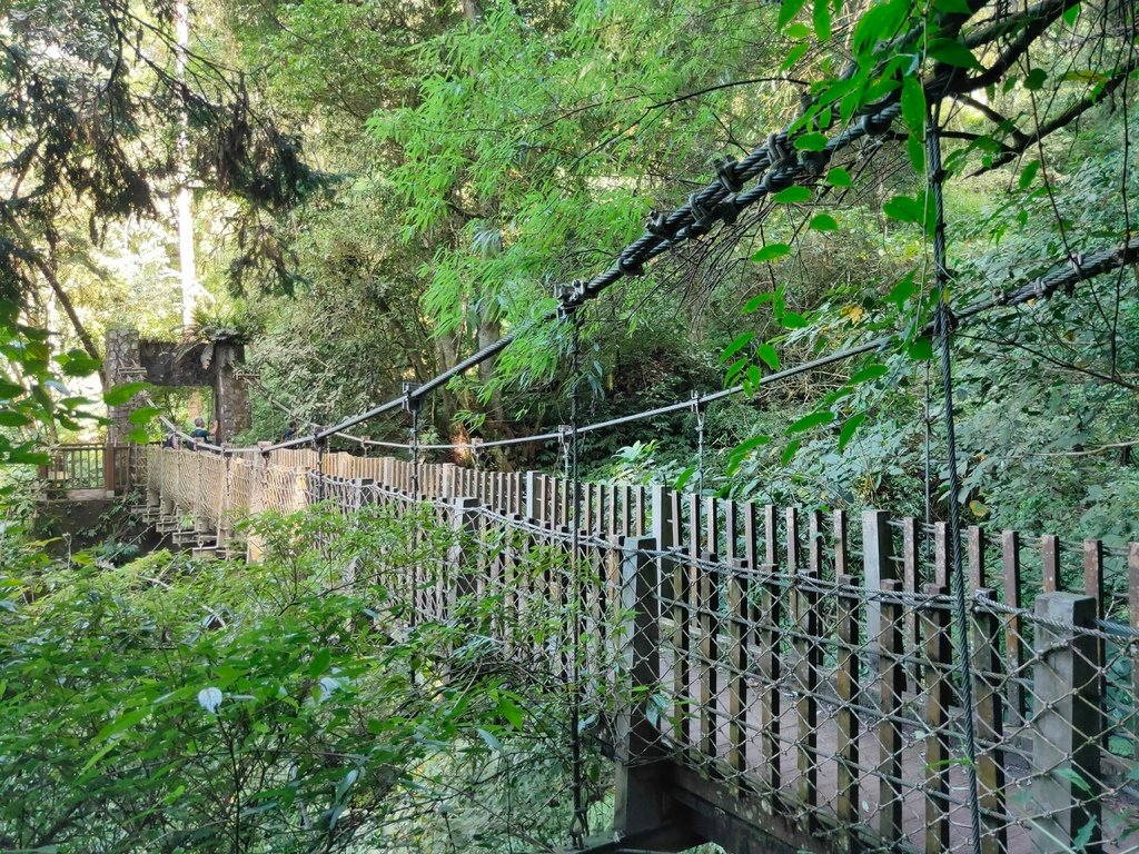 賞鳥步道吊橋２（鹿谷）