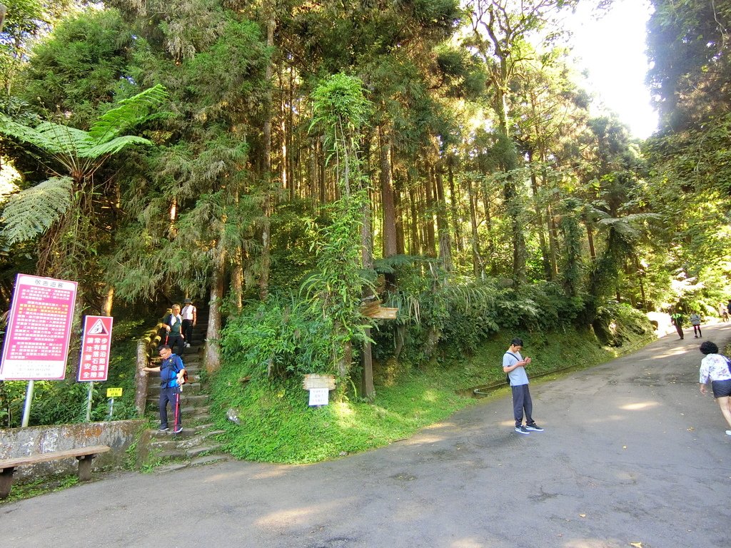 賞鳥步道吊橋終點