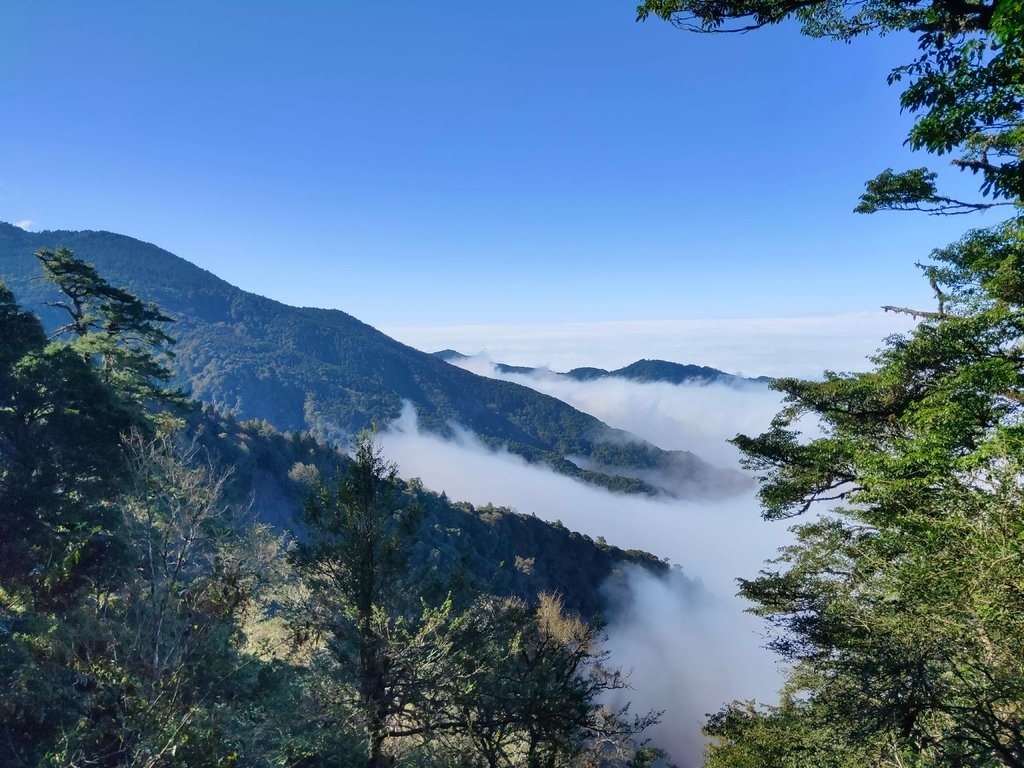 檜山巨木群步道