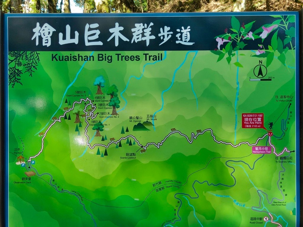 檜山巨木群步道路線圖