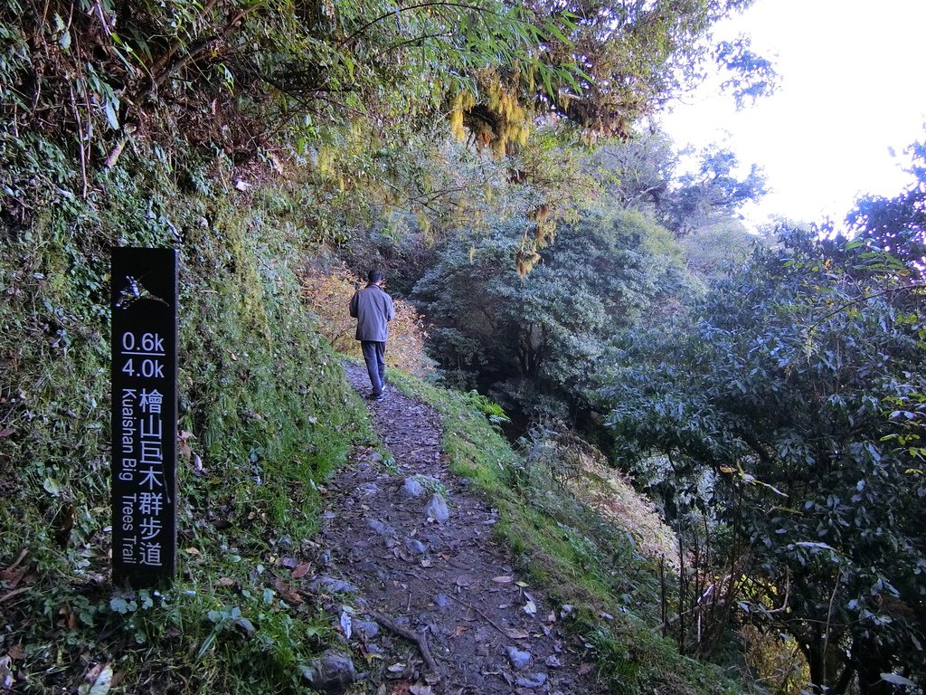 檜山巨木群步道0.6K