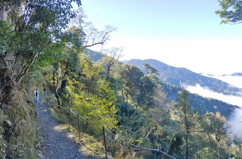 檜山巨木群步道