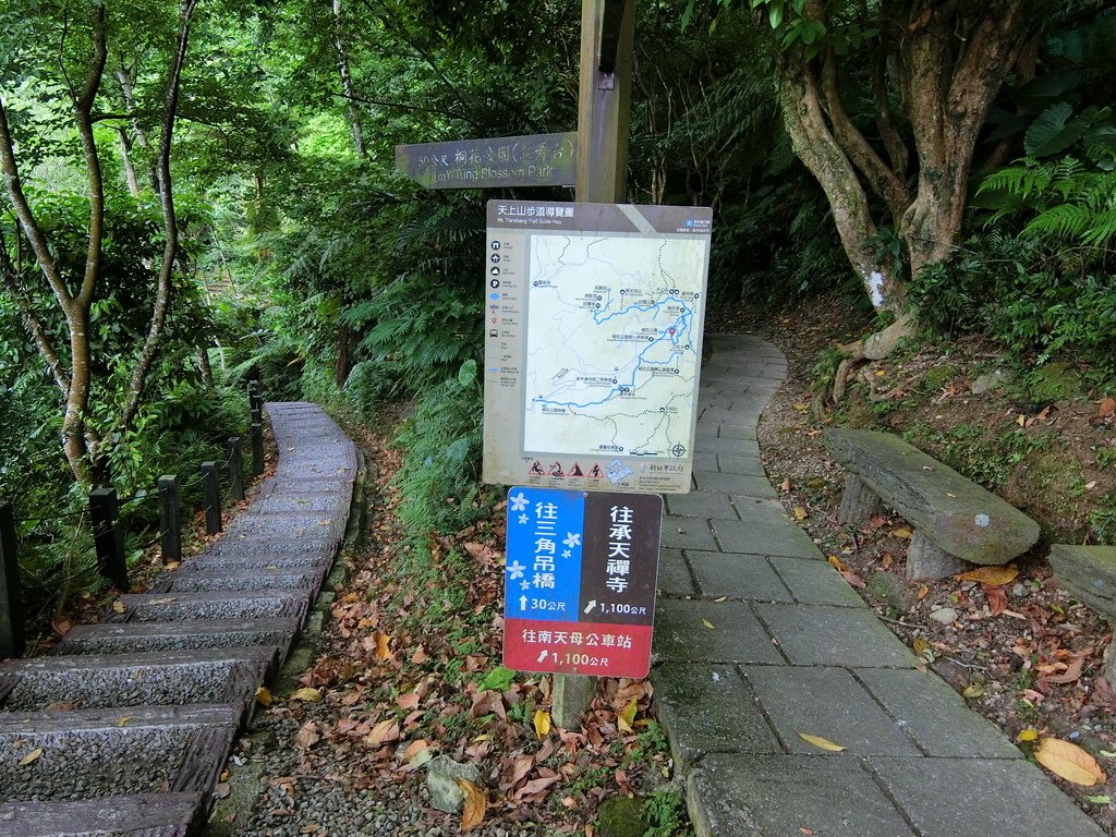 桐花公園吊橋（土城）