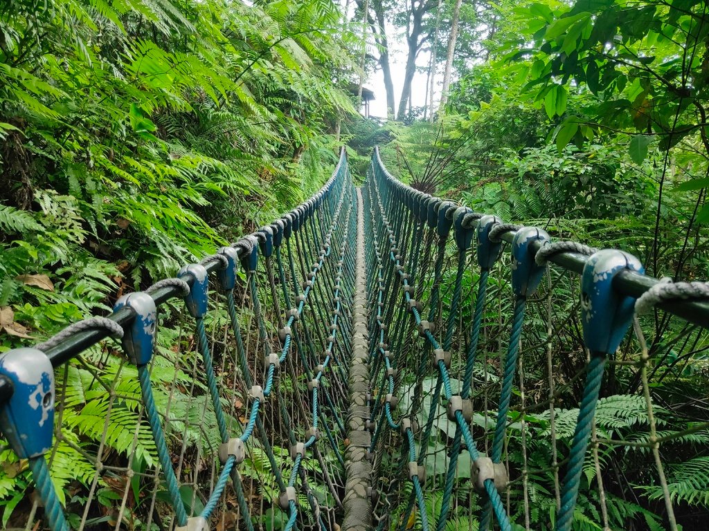 桐花公園吊橋（土城）