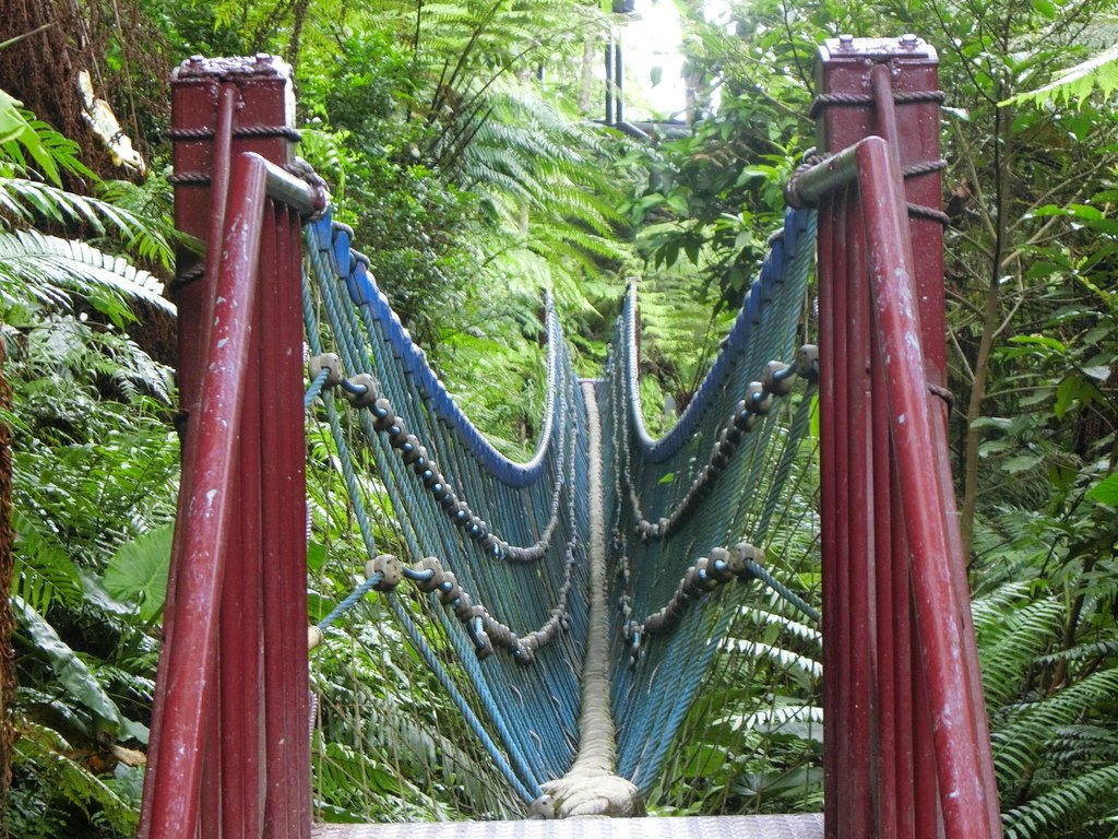 桐花公園吊橋（土城）