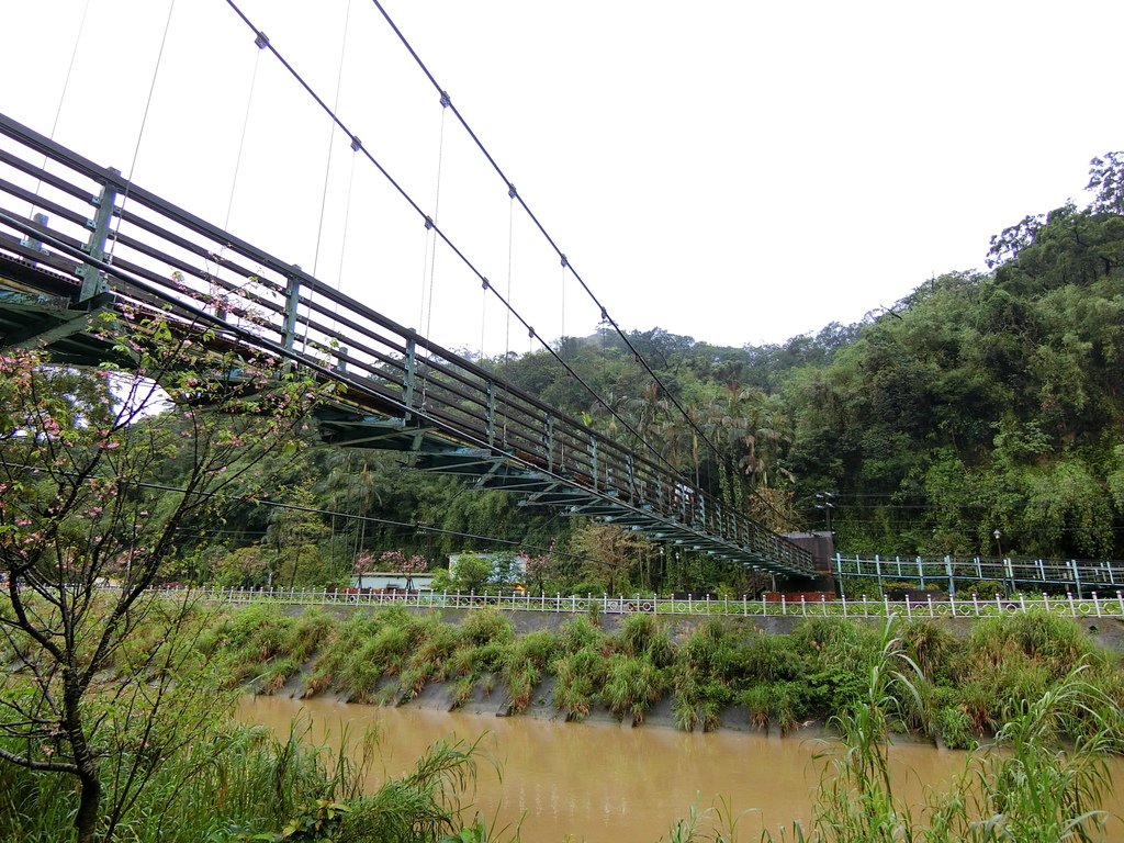 暖暖親水吊橋