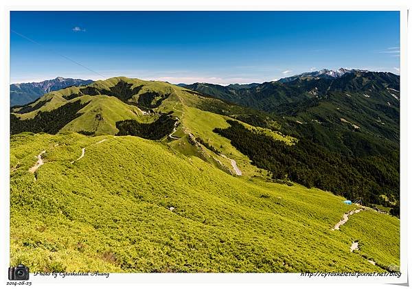 DSC_0370-1.jpg