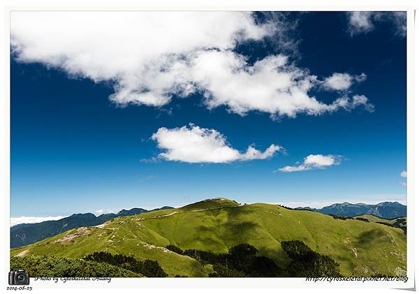 DSC_0390-1.jpg