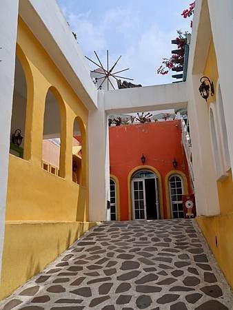 IMG_8536.jpg