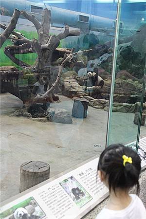 IMG_3787.jpg