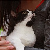 IMG_3944
