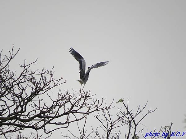 IMG_1970