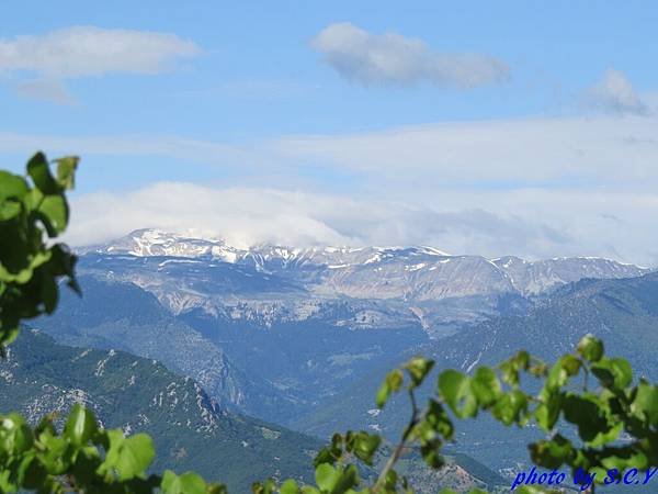 IMG_1803