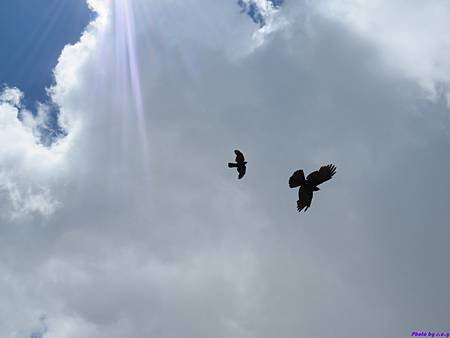 IMG_3816.JPG