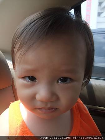 DSCF5326.jpg