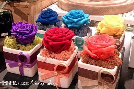 恆星花 (3).jpg